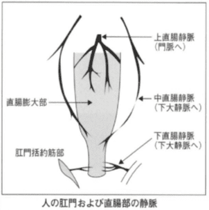 注射は良く効く？
